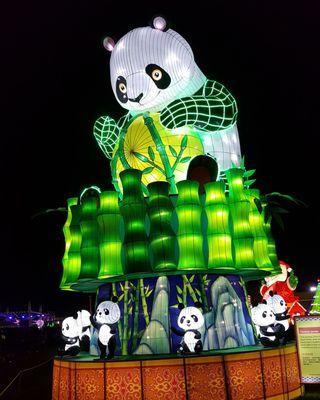 Giant panda lantern