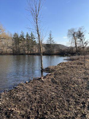 Great Outdoors