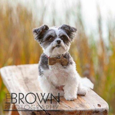 Tim Brown Photography