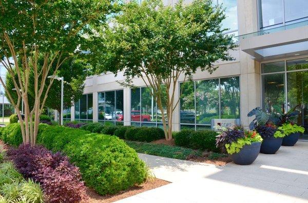 Roberto's Landscape & Maintenance