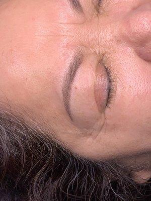 Eyebrows after year with out touchup