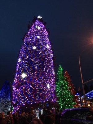 Leavenworth Christmas Lighting Festival