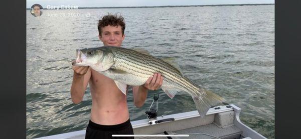 Star Striper Guide