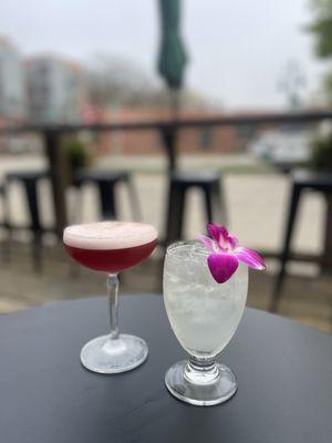 Hibiscus tequila & Garden Life