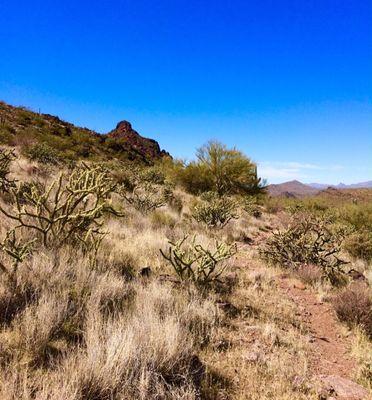 Sophie's Flat Trailhead