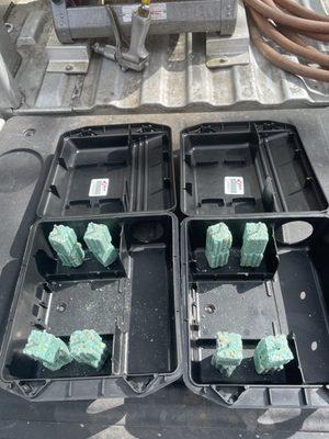 Florida Exterminating