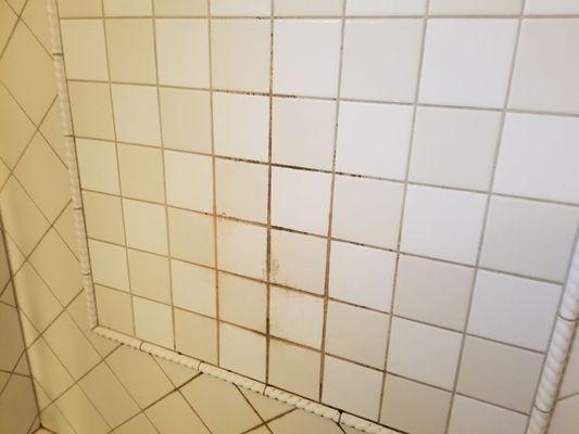 T&S Cleaning Services