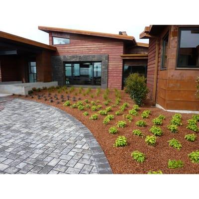 He Sells These Shells