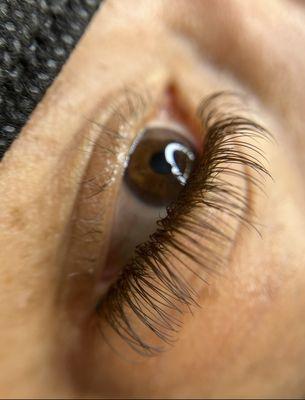 Classic Lash Set in Brown