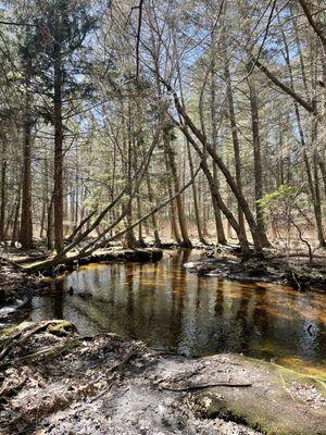 Fisherville Brook Wildlife Refuge