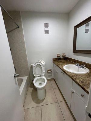 Flo Horizon Cleaning