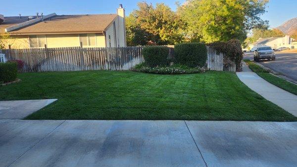 Pro Brothers Landscaping