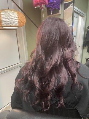 Molly's Hairway To Heaven