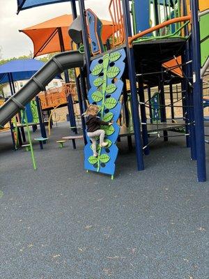 Holding Park