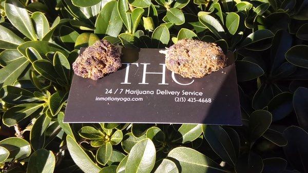 24 7 Marijuana Delivery