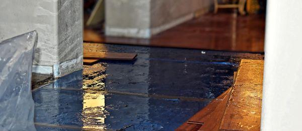 Next Level Home Exteriors