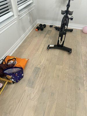 Drees Custom Homes at Wolf Ranch