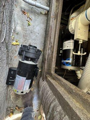 Carlos Herrera Pool and Spa Service