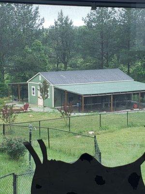 Brazell's Exterminating & Home Repair