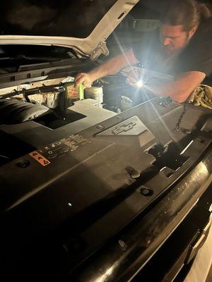 Lemon Fox Diagnostics