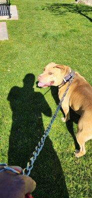 Magic Desert Landscape