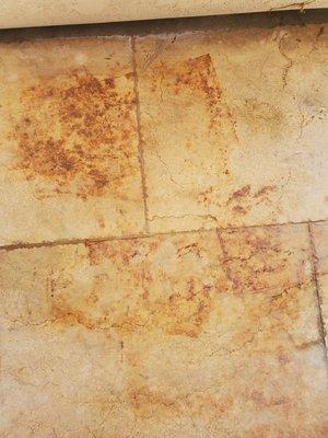 Your Hero Carpet Cleaner