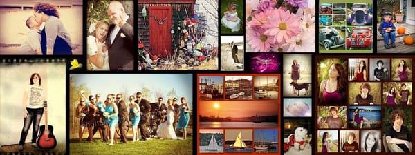 Shuttah Bug Photography