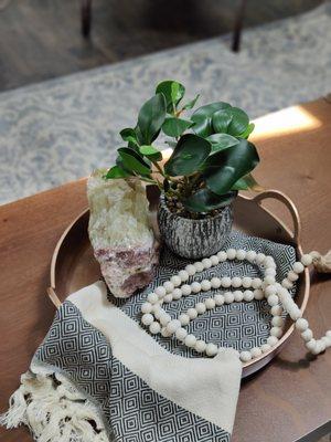 Aloe & Elm Interiors