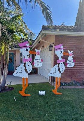 Announcing the births of the lovely Long twin girls. We wish them both a charmed life.