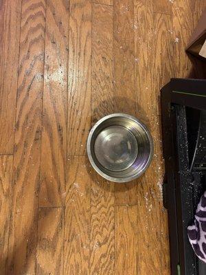 The white stuff is cat litter that was left so long it started to turn into sludge around their water bowl