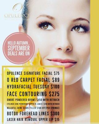Opulence Skin Care & Med Spa