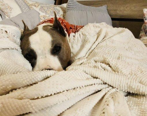 Brewfest says it's cold let's snuggle