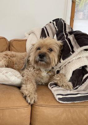 His cute face BEFORE the cut