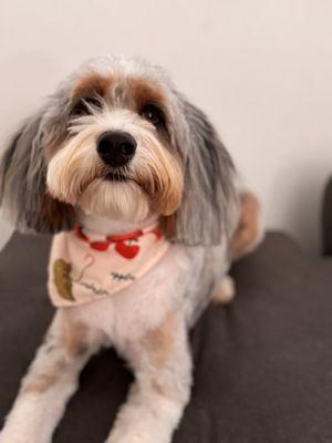 Loves the fresh groom