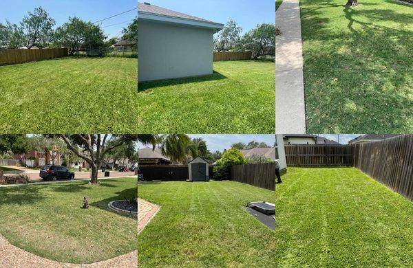 Ayala Lawn & Home Services