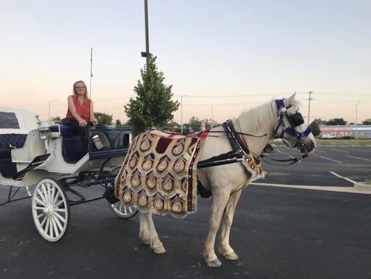 Antique Coach & Carriage