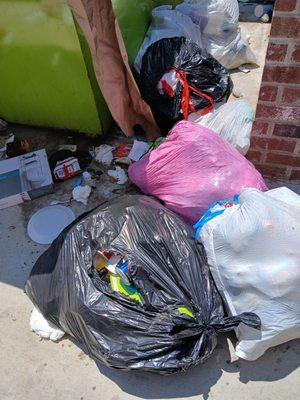 Wynnefield Properties