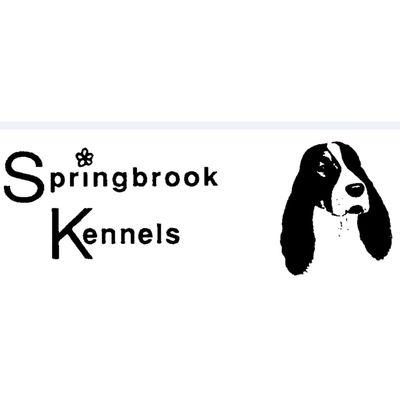 Springbrook Kennels