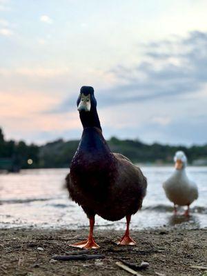 Frank G Bonelli Regional Park