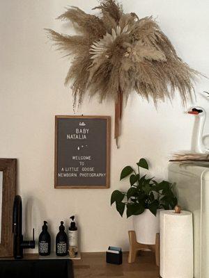 A Little Goose Newborn Photography