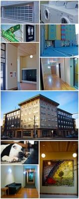 Anatomia Physical Medicine