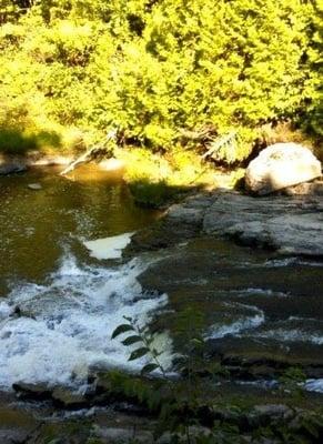 Laplatte Nature Park