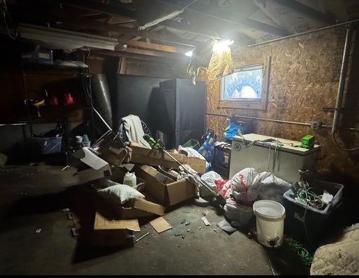 Spotted Dog Junk Service