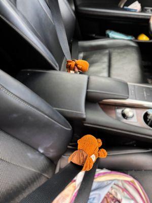 Reset Auto Calibration