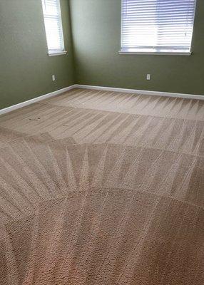 Disaster Dr Carpet Cleaning