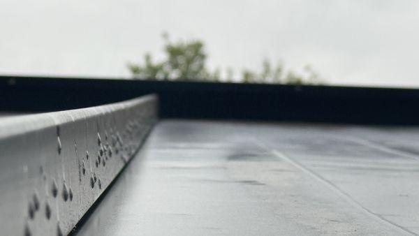 Amx Unison Photography