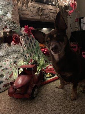 Bayport Veterinary Hospital