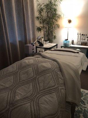 Large and comfortable facial bed