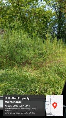 Unlimited Enterprises