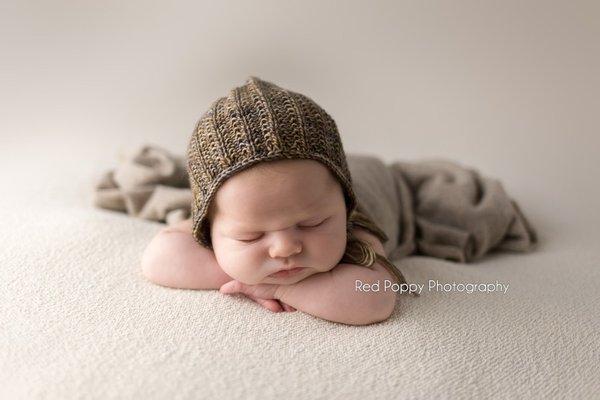 Red Poppy Photography